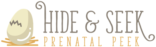 Hide & Seek Prenatal Peek Logo